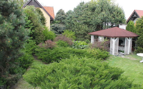 Letniskowa 29: Property, Vegetation, House, Natural Landscape, Tree, Land Lot, Shrub, Garden, Cottage, Home