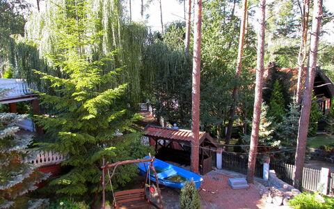 Mielno 2: Tree, Biome, Plant, Woody Plant, Botany, Forest, Pine Family, Home