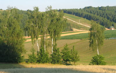 Jura Dla Ciebie