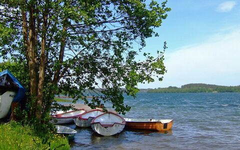 Trzy Brzozy: Water Transportation, Tree, Lake, River, Shore, Boat, Vehicle, Waterway, Boating, Vacation