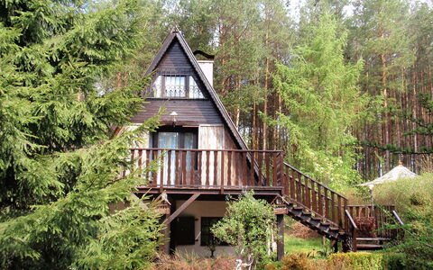 Borek Sulęcki: Plant, Building, Tree, Natural Landscape, House, Wood, Cottage, Window, Woody Plant, Grass