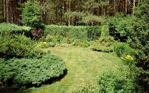 Borek Sulęcki: Natural Landscape, Vegetation, Tree, Green, Natural Environment, Shrub, Garden, Biome, Nature Reserve, Plant
