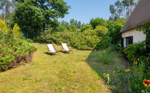 Borek Sulęcki: Green, Grass, Vegetation, Shrub, Garden, Land Lot, Plant Community, Rural Area, Cottage