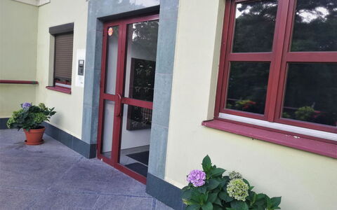 Jurata 1: Plant, Property, Flower, Window, Green, Building, Flowerpot, Wall, Houseplant