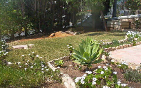 Doroteia: Garden, Plant, Flower, Yard, Botany, Landscape, Plant Community, Grass Family, Landscaping, Grass