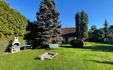Zhorska: Sky, Plant, Tree, Natural Landscape, Land Lot, House, Larch, Grassland, Grass, Landscape