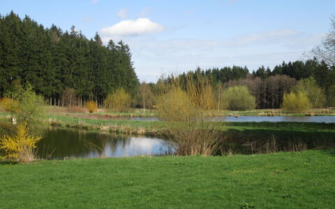 Chrastov: Water, Plant, Sky, Cloud, Natural Landscape, Tree, Lake, Land Lot, Grass