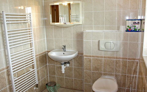 Ceska Kamenice 110: Bathroom, Tile, Room, Property, Plumbing Fixture, Wall, Bathroom Accessory, Toilet, Floor, Architecture
