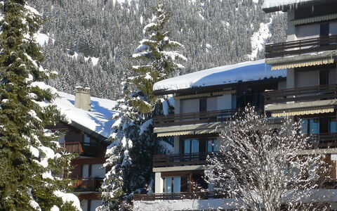 Villars 130: Snow, Winter, Property, Tree, Freezing, Home, House, Roof, Branch, Pine Family