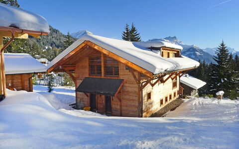 Khamariah: Snow, Winter, Home, Property, House, Log Cabin, Sky, Real Estate, Cottage, Tree