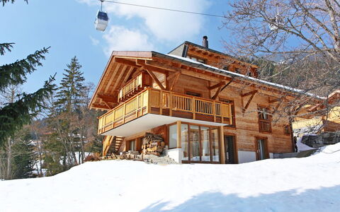 Khamariah: Snow, Winter, Home, House, Property, Sky, Real Estate, Building, Tree, Cottage