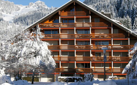 Villars 600: Snow, Building, Sky, Property, Mountain, White, House, Tree, Architecture, Wood