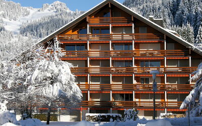 Villars 600: Snow, Building, Sky, Property, Mountain, White, House, Tree, Architecture, Wood