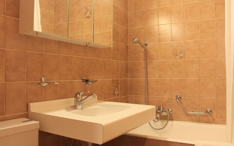Villars 750: Brown, Tap, Plumbing Fixture, Property, Sink, Bathroom, Bathroom Sink, Black, Mirror