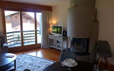 Accommodation:&nbsp;Villars Soleil B15 765.3