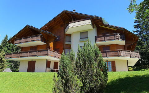 Villars 787: Plant, Sky, Building, Window, Tree, House, Land Lot, Grass, Cottage