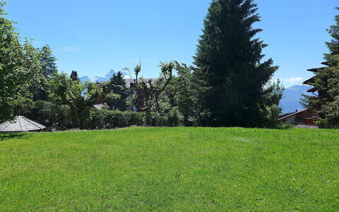 Villars 787: Lawn, Grass, Tree, Land Lot, Natural Environment, Meadow, Grassland, Property, Daytime, Pasture