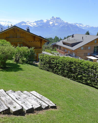 Le Bouquetin 1