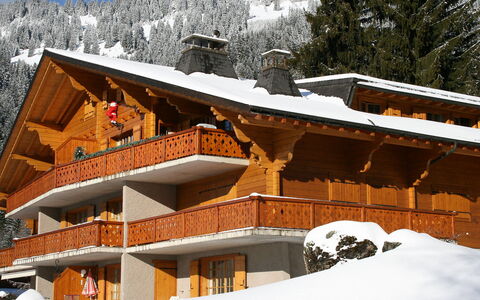Argentière 8: Snow, Building, Window, Mountain, Sky, Slope, House, World, Wood, Biome