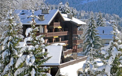 Villars 976: Snow, Building, Nature, Plant, House, Window, Branch, Slope, Freezing, Larch