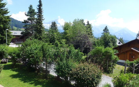 Villars 995: Tree, Property, Vegetation, Biome, House, Wilderness, Home, Real Estate, Woody Plant, Plant