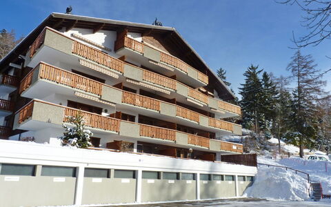 Domino B 48: Sky, Building, Window, Tree, Snow, Urban Design, Condominium, Slope, Composite Material, Facade