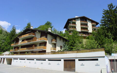 Ovronnaz 240: Residential Area, House, Home, Suburb, Mountain Village, Balcony, Villa, Larch, Evergreen