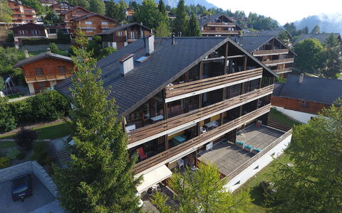 Zodiaque Rs 4: Building, Window, Tree, Sky, Plant, Urban Design, Vegetation, Wood, Mountain, Neighbourhood