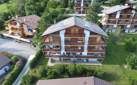 Ovronnaz 255: Plant, Building, Tree, Botany, House, Window, Land Lot, Urban Design, Vegetation, Condominium