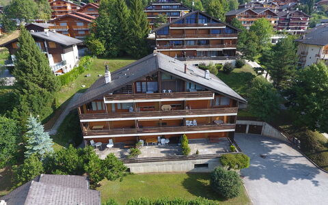 Ovronnaz 290: Plant, Building, Tree, Window, Wood, Urban Design, House, Door, Condominium, Neighbourhood
