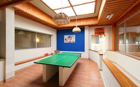 Mondzeu A258: Table, Furniture, Property, Window, Building, Wood, Recreation Room, Interior Design, Lighting, Sports Equipment