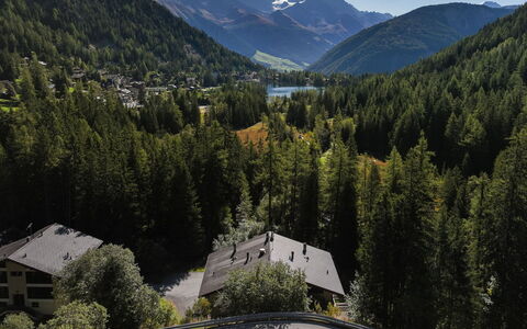 Arolla R01: Tree, Mountain, Landscape, Forest, Highland, Hill Station, Mountain Range, Home, Larch