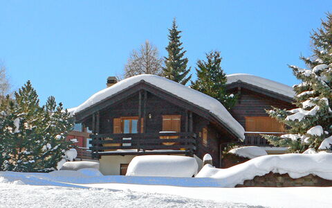 Lao-Lao: Sky, Snow, Property, Building, Tree, House, Window, Slope, Plant, Larch