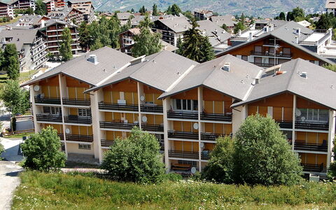 Nendaz 250: Plant, Building, Daytime, Window, Tree, Botany, Vegetation, Urban Design, Land Lot, Architecture