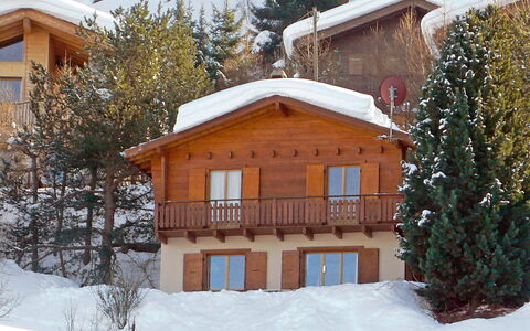 Mungg: Snow, Building, Window, Tree, House, Plant, Branch, Larch, Wood