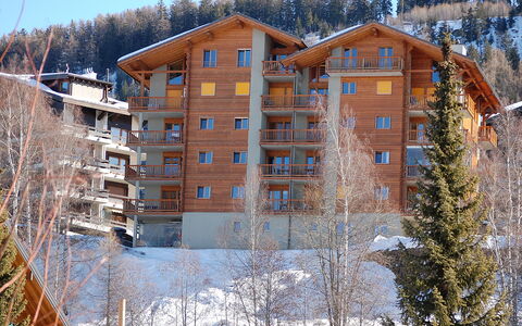 Nendaz 360: Sky, Building, Window, Snow, Tree, Wood, House, Larch, Slope, Architecture