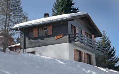 Hildegarde: Snow, Winter, Property, House, Home, Tree, Architecture, Hill Station, Real Estate, Geological Phenomenon