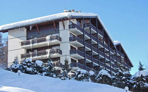 Nendaz 150: Sky, Building, Window, Snow, Tree, Urban Design, House, Condominium, Slope, Freezing