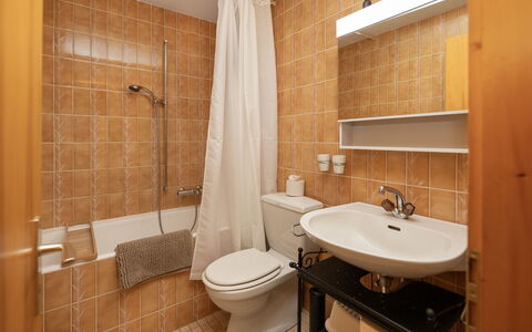 Nendaz 160: Bathroom Sink, Plumbing Fixture, Flooring, Interior Design, Bathroom, Sink, Wall, Floor, Tap, Room