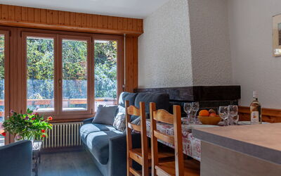 Accommodation:&nbsp;Derborence 25 730.1
