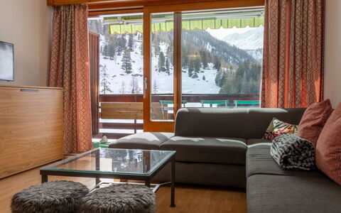 Accommodation:&nbsp;Rosablanche D31 100.72