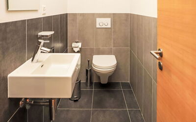 Accommodation:&nbsp;Rosablanche D 204 a 100.103