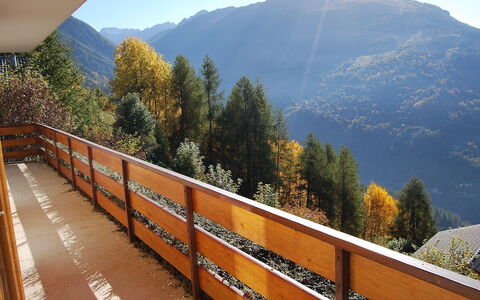 Gamine: Mountainous Landforms, Guard Rail, Mountain, Tree, Sky, Leaf, Mountain Range, Hill Station, Alps, Handrail