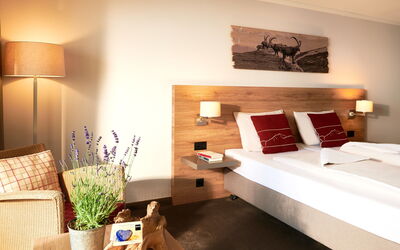 Accommodation:&nbsp;Standard, Dorint Blümlisalp 100.1