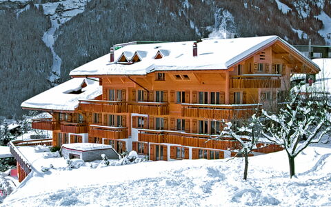 Grindelwald 100: Building, Snow, Property, Window, House, Slope, Architecture, Cottage, Freezing, Tree