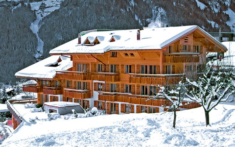 Grindelwald 100: Building, Snow, Window, Slope, House, Freezing, Architecture, Tree, Plant, Cottage