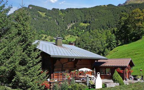 Grindelwald 121: Plant, Cloud, Sky, Property, Plant Community, Ecoregion, Mountain, Nature, Natural Landscape, House