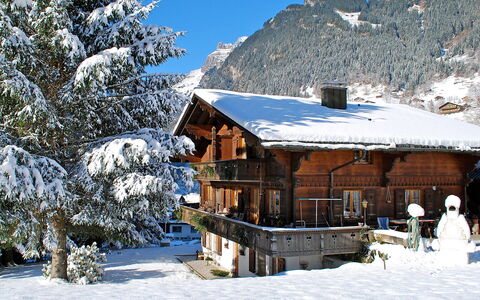 Grindelwald 121: Snow, Sky, Mountain, Tree, Slope, Natural Landscape, Plant, House, Building