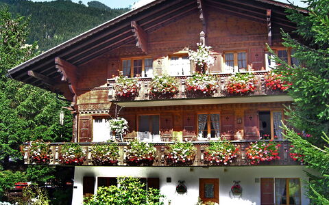 Grindelwald 121: Building, Window, Plant, Property, Sky, Tree, House, Cottage, Residential Area