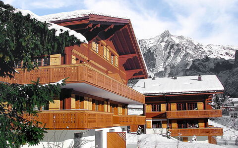 Grindelwald 106: Sky, Building, Cloud, Window, Snow, Mountain, Nature, Slope, House, Natural Landscape